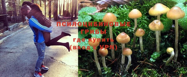 таблы Армянск