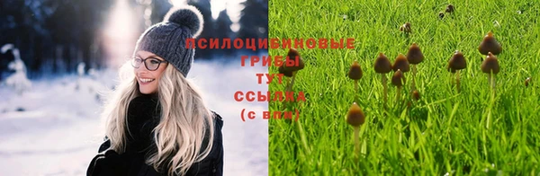 таблы Армянск