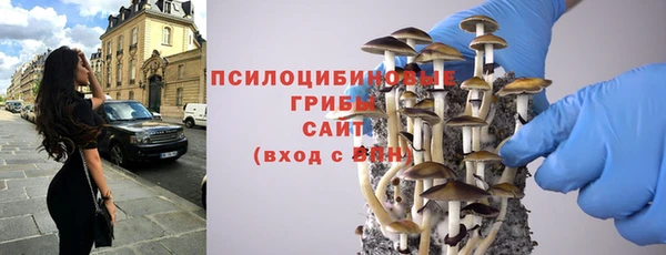 кокс Баксан