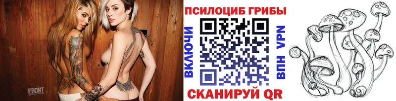 Галлюциногенные грибы GOLDEN TEACHER  Кушва 
